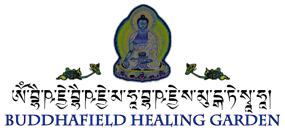 Healing Garden Header